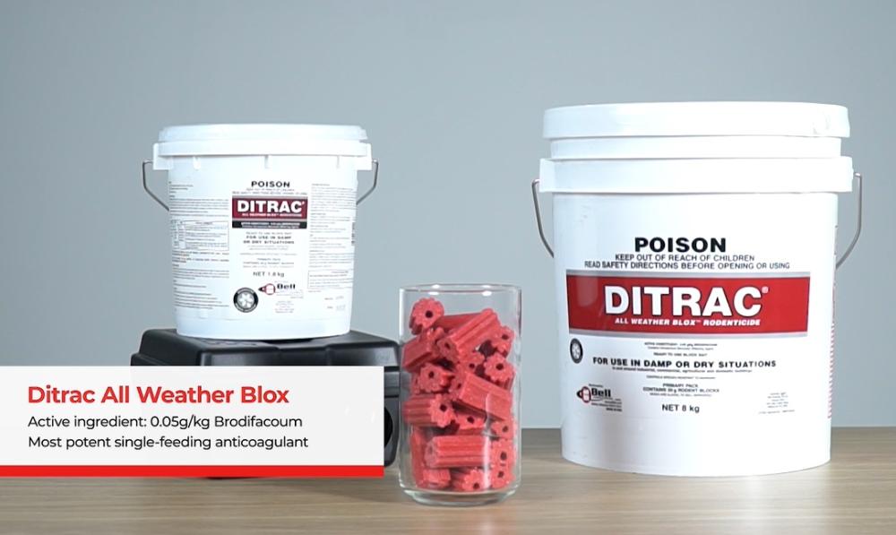 Ditrac Blox Bait Display