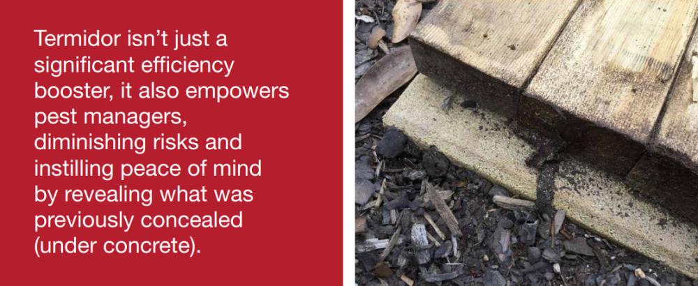 Termidor HE Trial Images