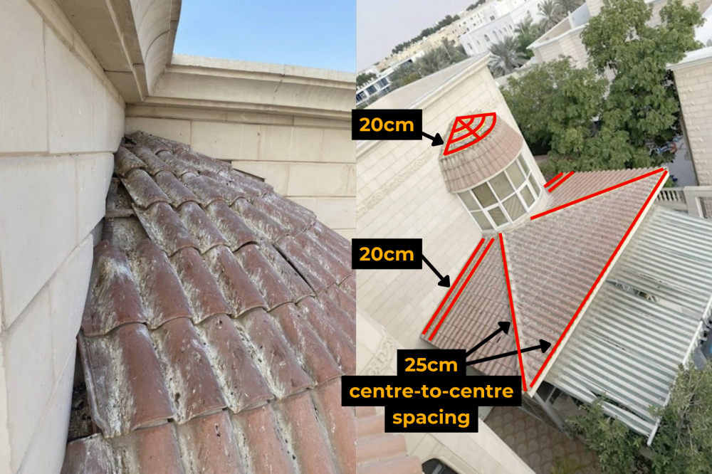 Bird Free Optical Gel applied at spacings of 20cm and 25cm on villa roof