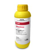 Maxtima Fungicide 1.25L Bottle