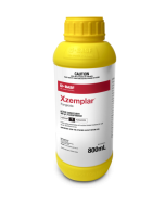 Xzemplar&reg; Fungicide 800mL