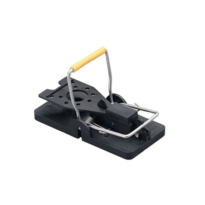 Snap E Mouse Trap