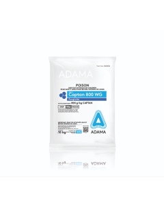 Captan 800 WG Fungicide