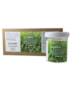Stamina Now + Amino Acids Tablet (6 x 170g)