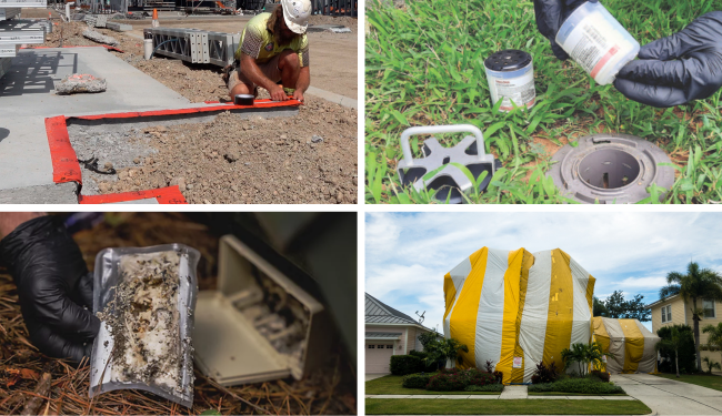 Exploring the Best Termite Control Methods