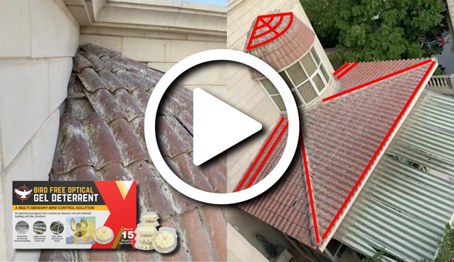 Case Study: Bird Free Optical Gel causes pigeons to abandon their habitat