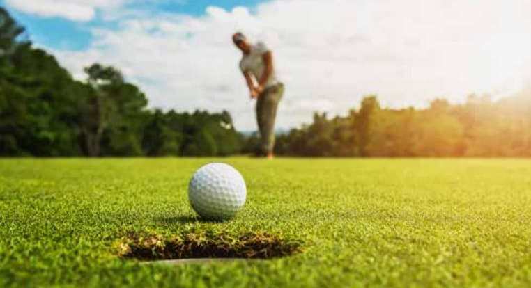 Selecting Fungicides for Prevention Without Regulation