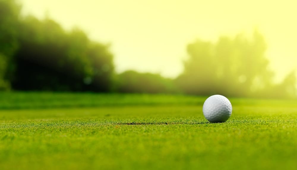 Golf Course Autumn Renovations: Strobilurin and potassium