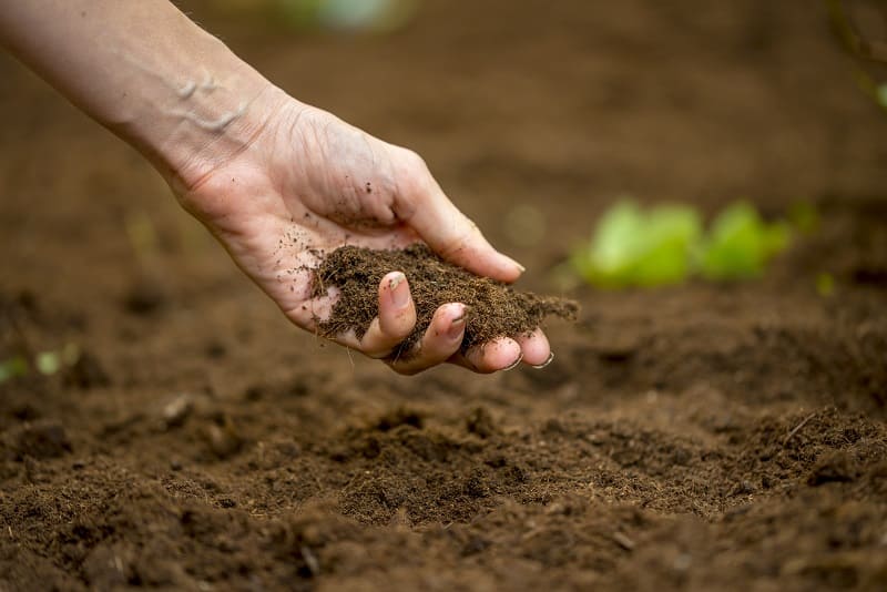 How To Determine Nutrient Requirements From Soil Tests