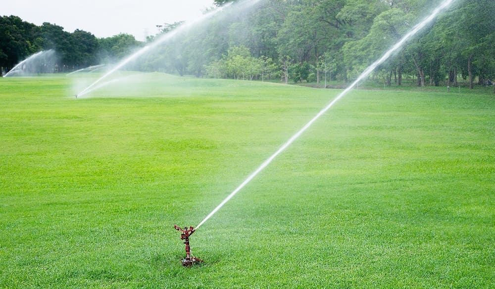 The Importance of Analysing Soil and Water Test Results Together