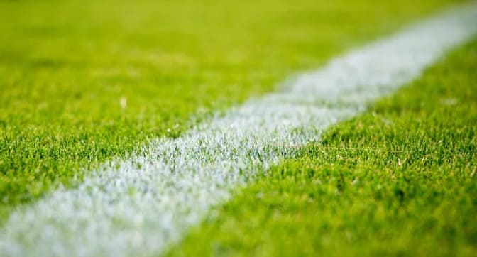 Benefits of Amino Acids and Micro-Nutrient Applications