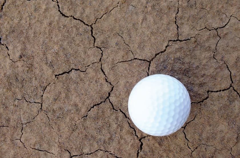 What Causes Localised Dry Spot in Greens and Management Tips