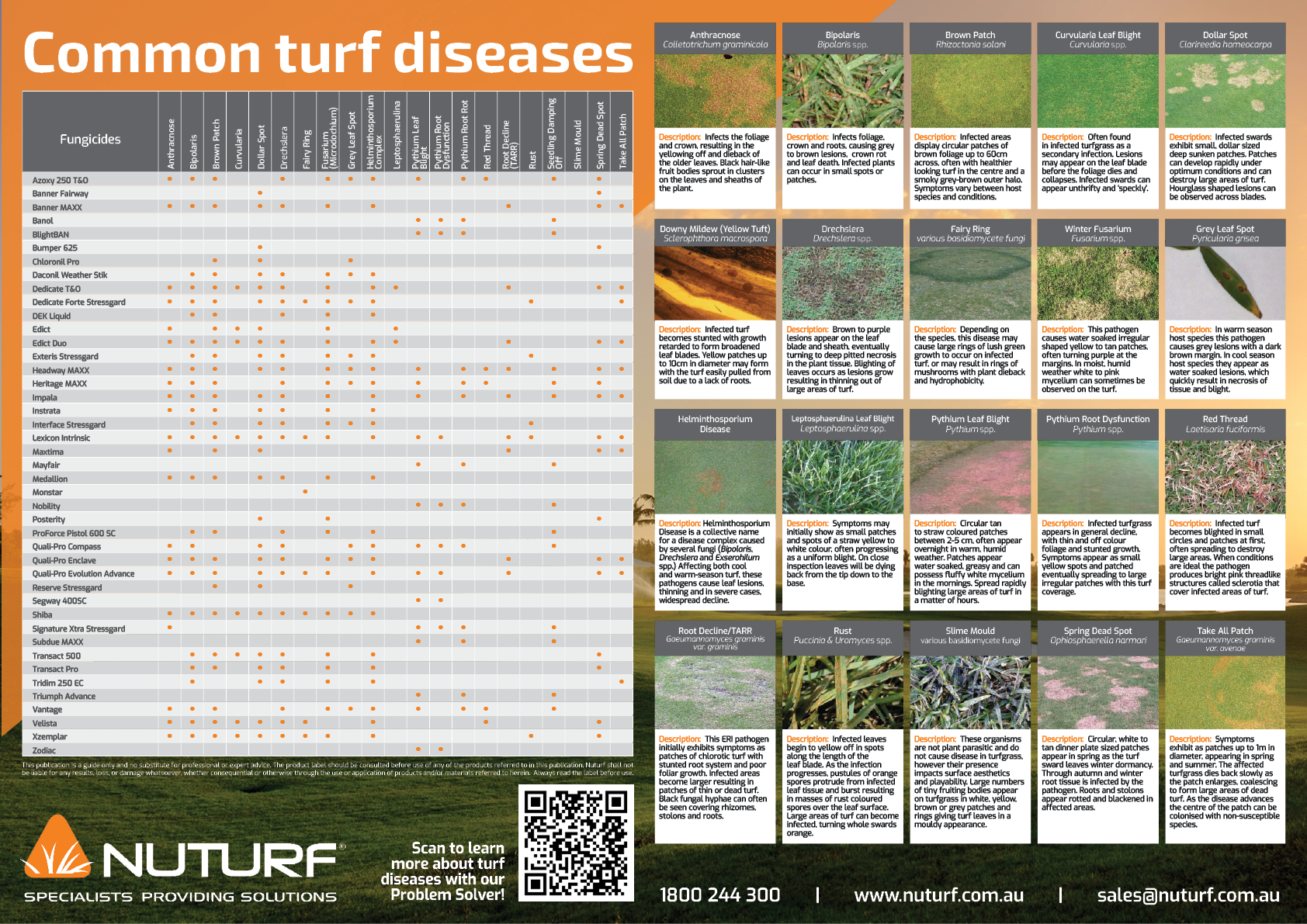 Turf Chart Examples Downloadable Chart: Nuturf Rain Chart 2026 - Article