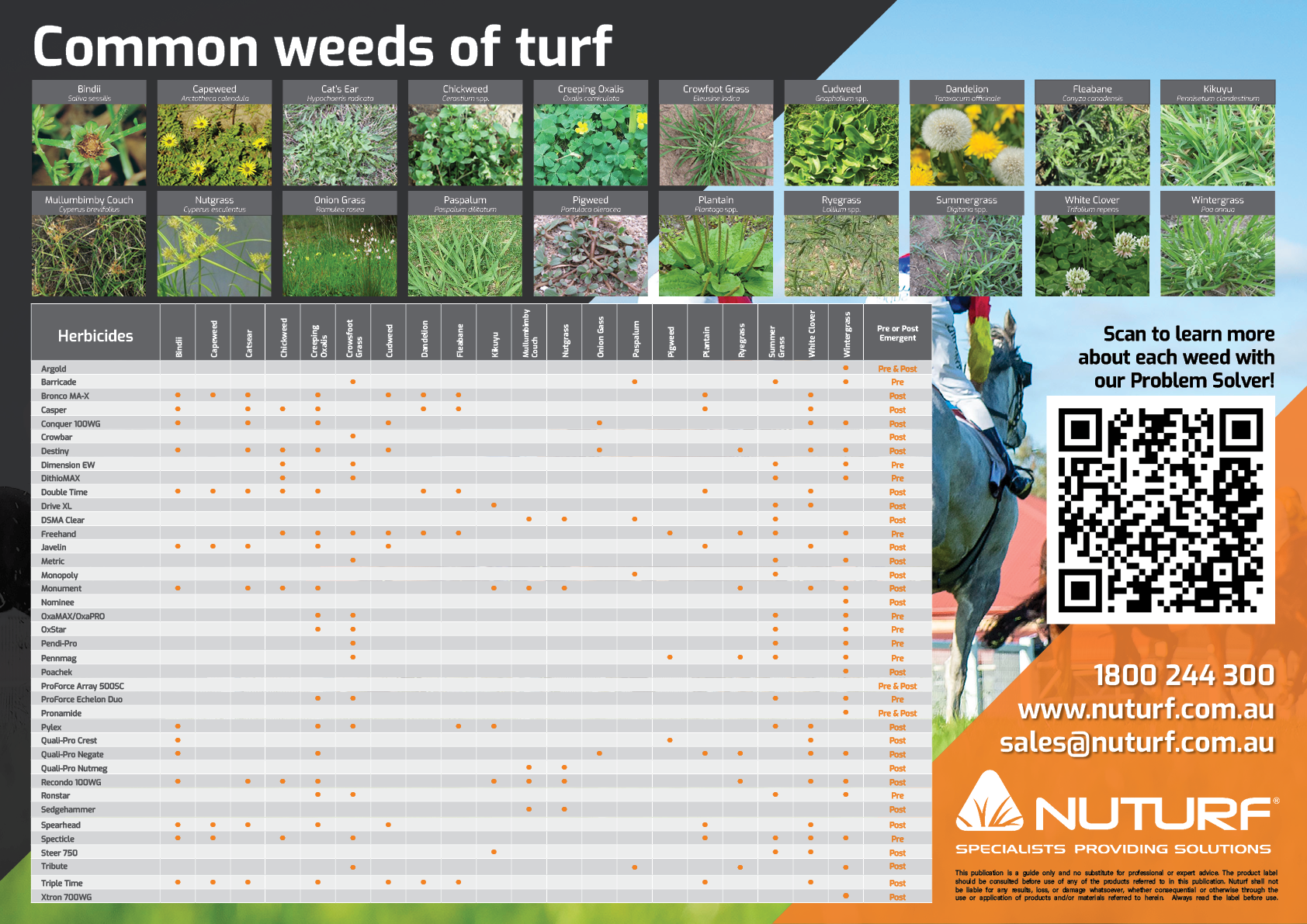 Turf Chart Examples Downloadable Chart: Nuturf Rain Chart 2026 - Article