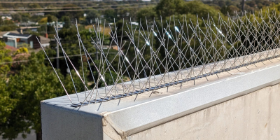 How to Choose the Right Bird Spikes: A Complete Guide