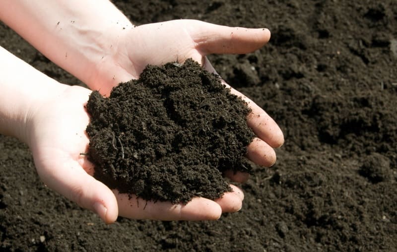 Understanding Soil Chemistry and Soil Structure