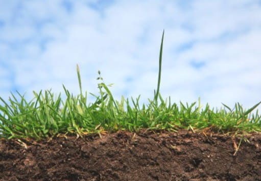 How To Interpret The Results Of Your Soil Test & Analysis