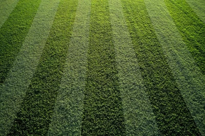 A Pre and Post Christmas Chemistry Plan For High Value Turf