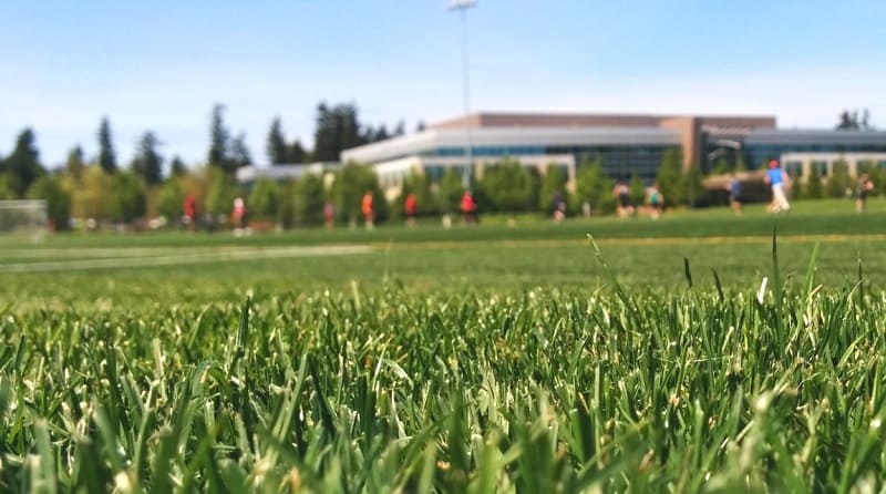 How to Nurture Oversown Sportsfields