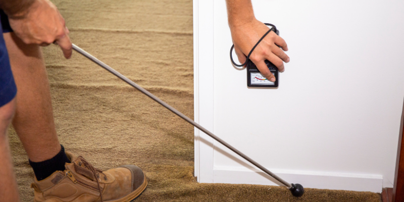 Essential Termite Inspection Tools & Equipment